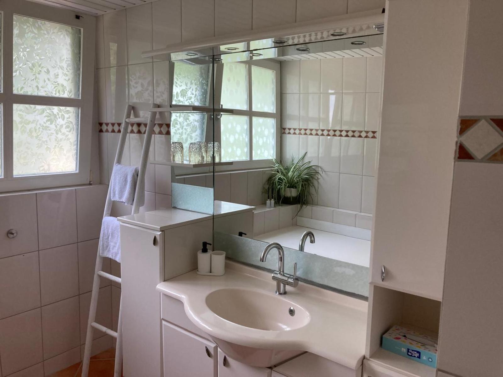 B&B Erve Moeskert Geesteren  Kültér fotó